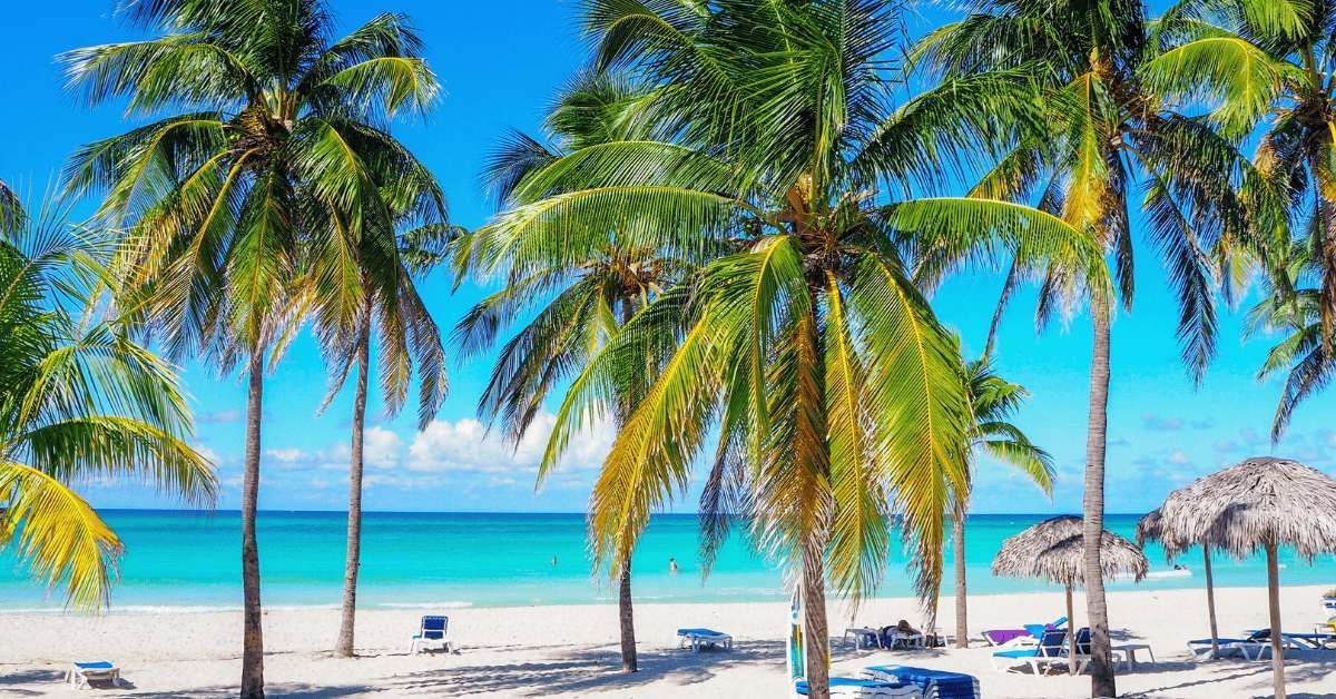 Palmen stehen an einem weißen Sandstrand mit Liegestühlen und blicken auf einen ruhigen, türkisfarbenen Ozean unter einem klaren blauen Himmel.