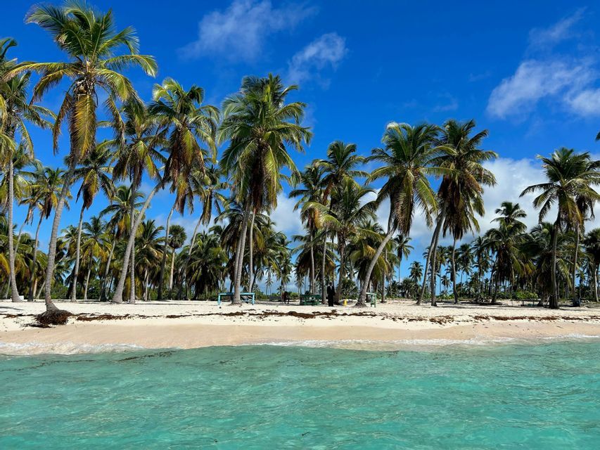 Una spiaggia tropicale con sabbia bianca e numerose alte palme, vista dall'acqua limpida e turchese sotto un cielo blu.