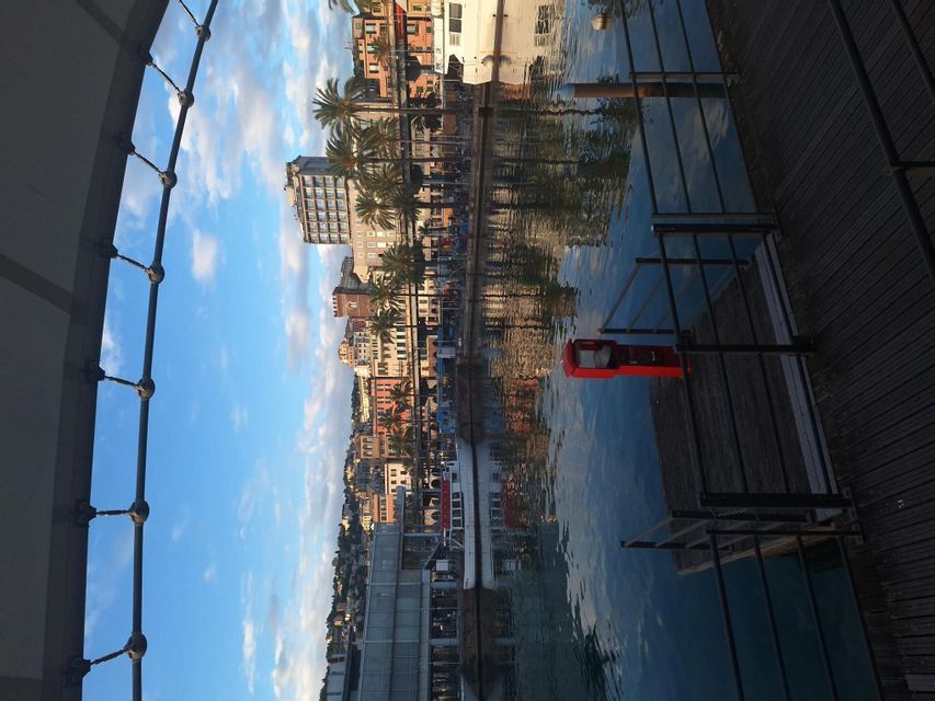 A city waterfront with colorful buildings and palm trees reflected in the calm harbor water, viewed from a wooden pier.