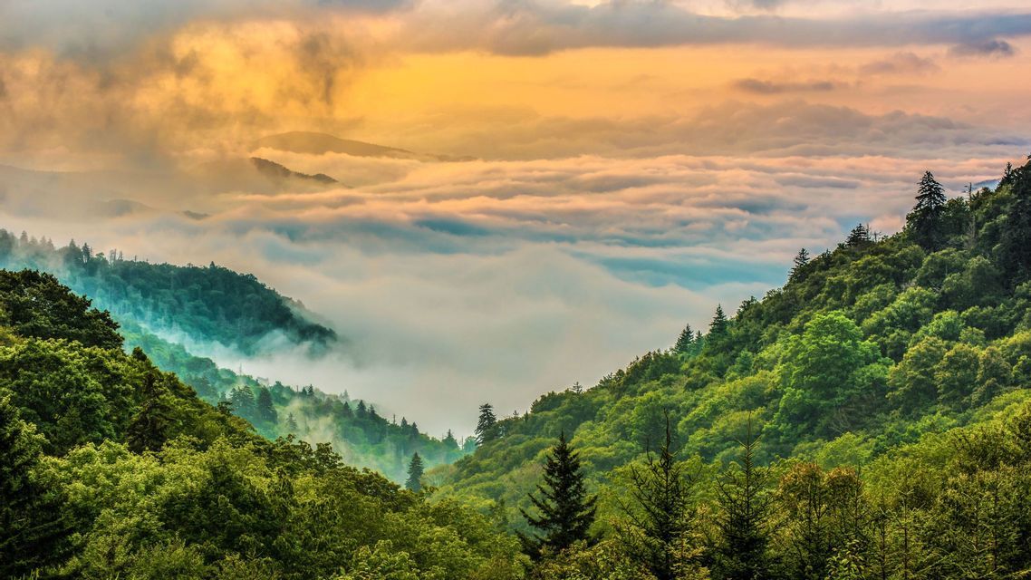 A sea of fog fills a valley between green, forest-covered mountains under a golden sky at sunset.