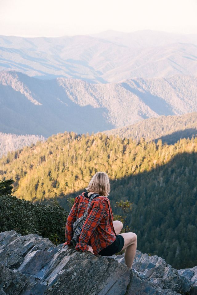 A person in a red plaid shirt sits on a rocky ledge, looking out over a vast mountain range covered in trees.