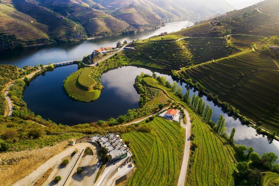 An aerial view of a river winding through a valley with green terraced vineyards and a small, curved lake.