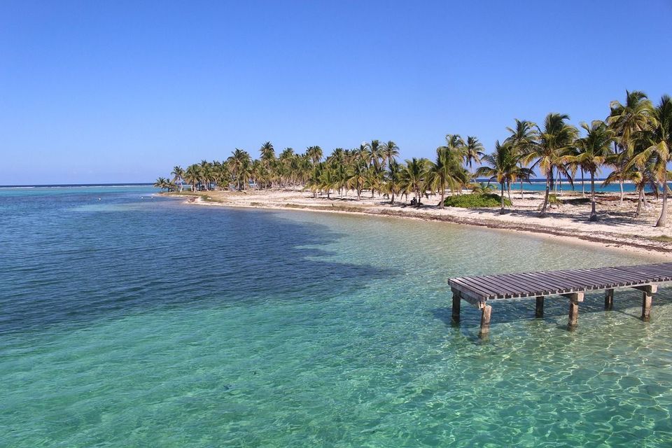 A wooden pier extends into clear turquoise water next to a sandy beach lined with palm trees.