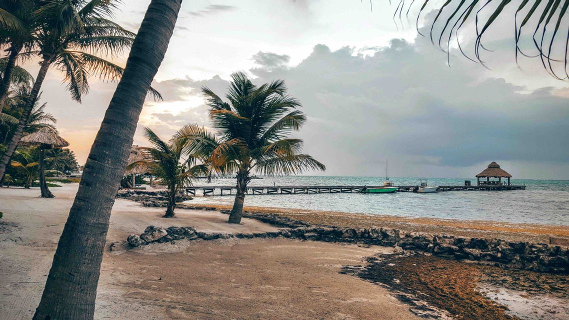 Palm trees on a sandy beach next to the ocean, with a long wooden pier and moored boats under a cloudy sky.