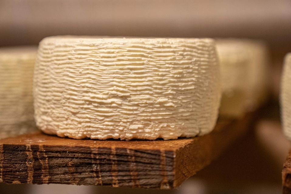 A close-up of a wheel of cheese with a textured rind resting on a thick, rustic wooden shelf.