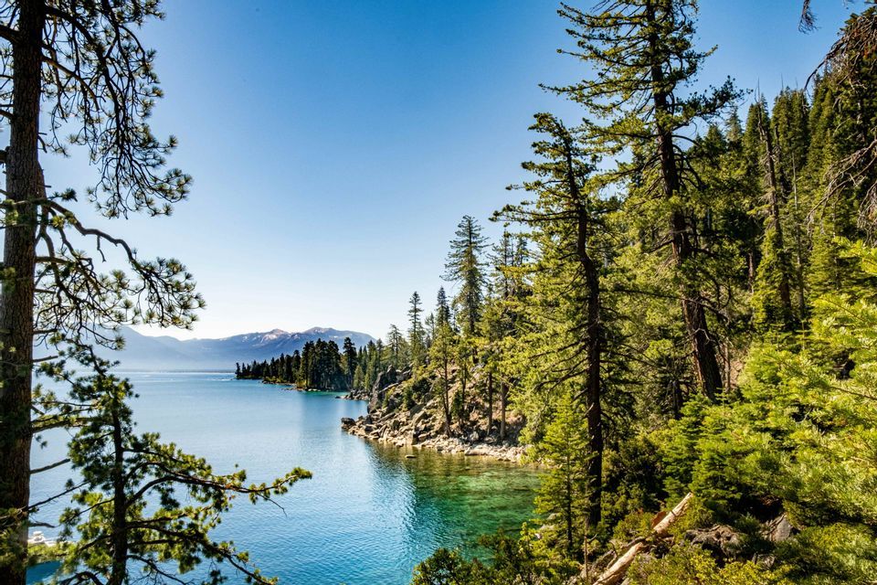 A clear blue lake is framed by pine trees, with a forested shoreline and snow-capped mountains in the distance under a clear sky.