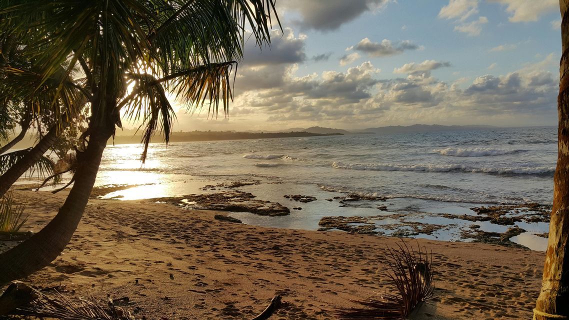Una palma su una spiaggia sabbiosa e rocciosa al tramonto, con la luce dorata che si riflette sull'oceano e sulle colline in lontananza.
