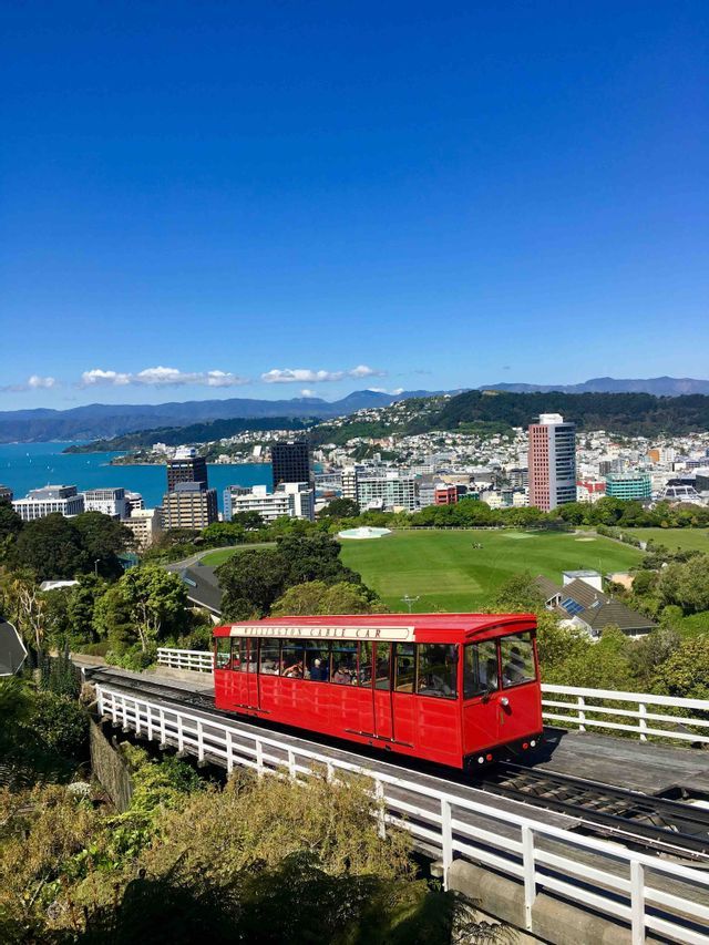 A red cable car travels on a track overlooking a coastal city with a large green park and a bay under a clear blue sky.