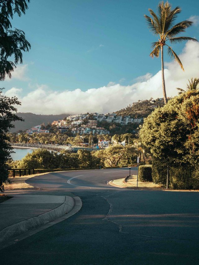 A curving road with palm trees overlooks a seaside town built into a green hillside under a partly cloudy sky.