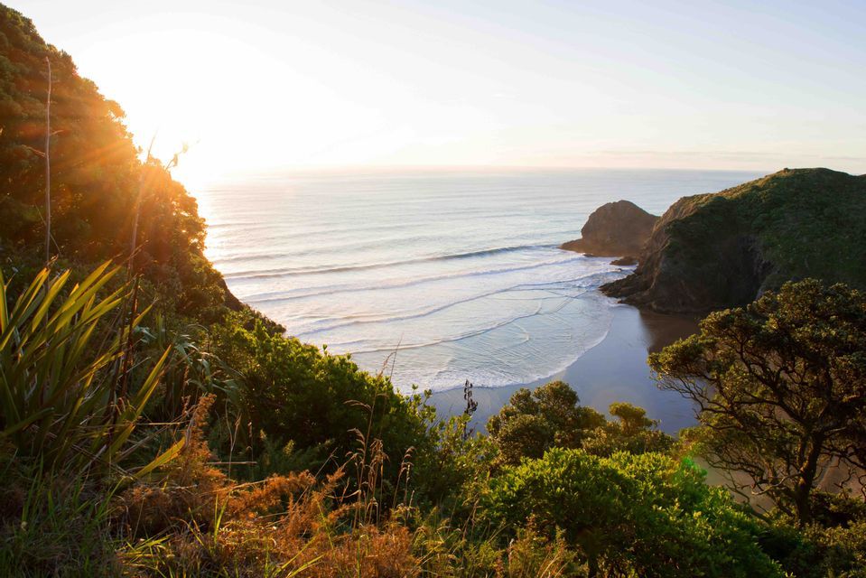 View from a lush green cliff of a sunlit coastline with gentle waves rolling onto a sandy beach cove.