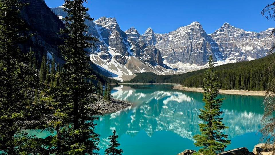 A vibrant turquoise lake reflects a range of snow-capped mountains, surrounded by a dense evergreen forest.