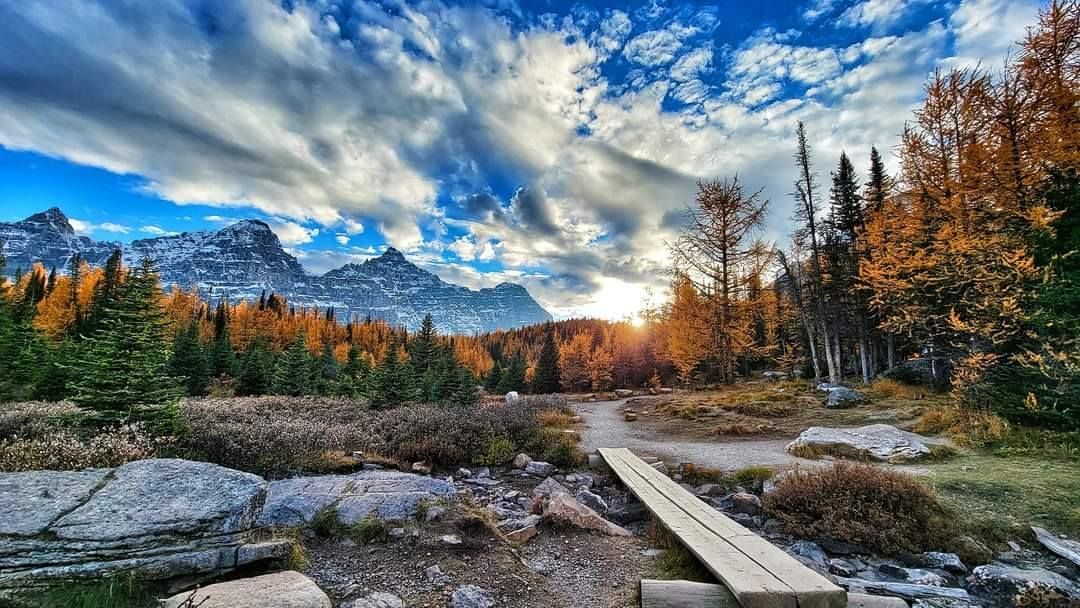 A trail with a wooden bridge leads through a forest of golden autumn trees towards snow-capped mountains under a cloudy sky.