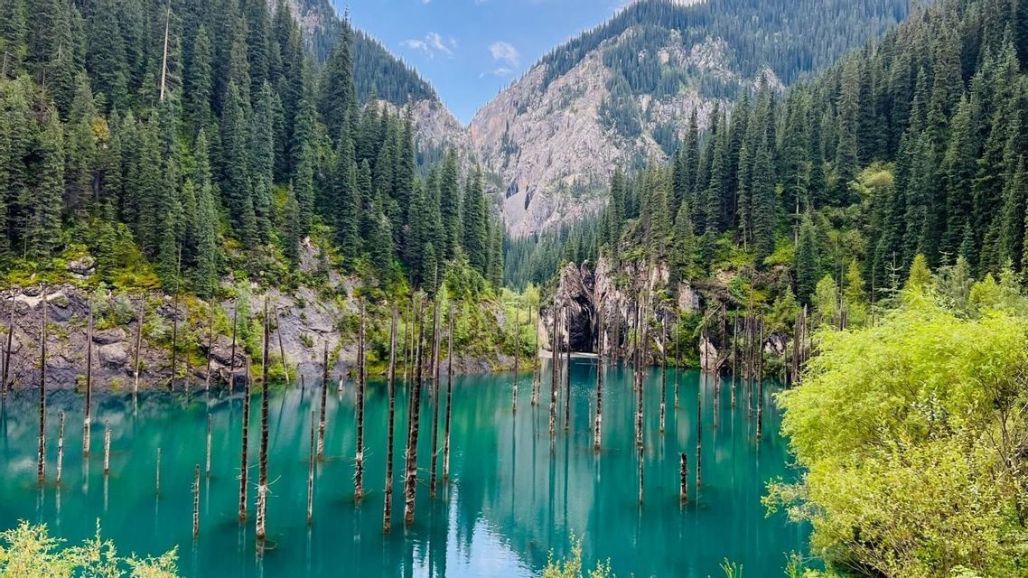 Kahle Baumstämme ragen aus einem türkisfarbenen Bergsee, umgeben von dicht bewaldeten Bergen.