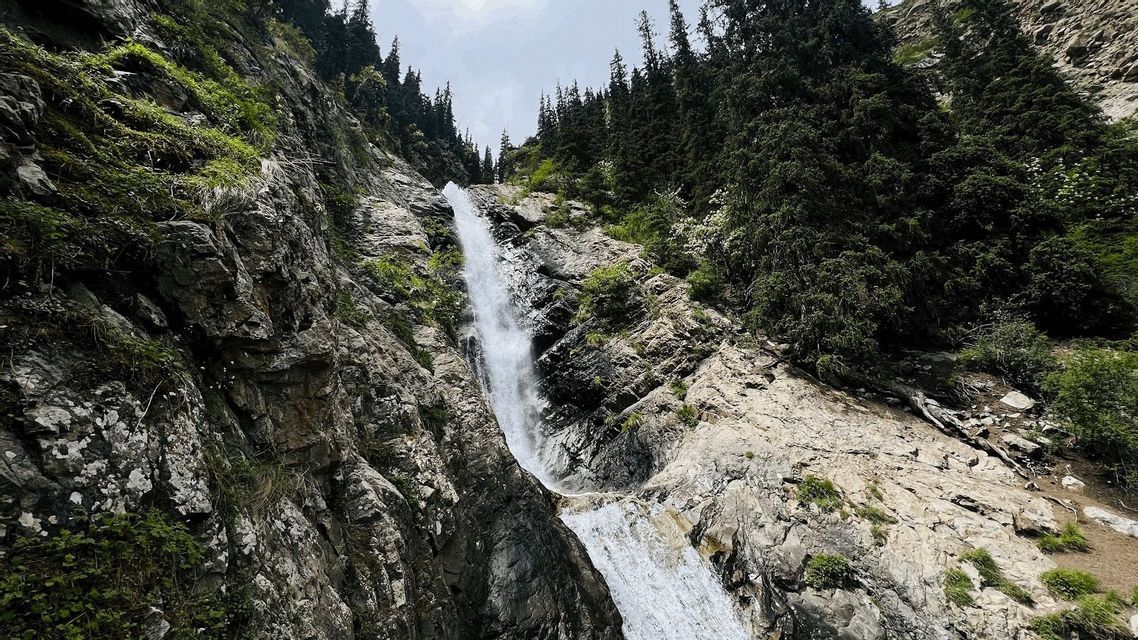 Ein Wasserfall stürzt eine steile, felsige Bergflanke hinab, die mit grünen Flecken bedeckt ist. Am oberen Ende ist ein Kiefernwald zu sehen.