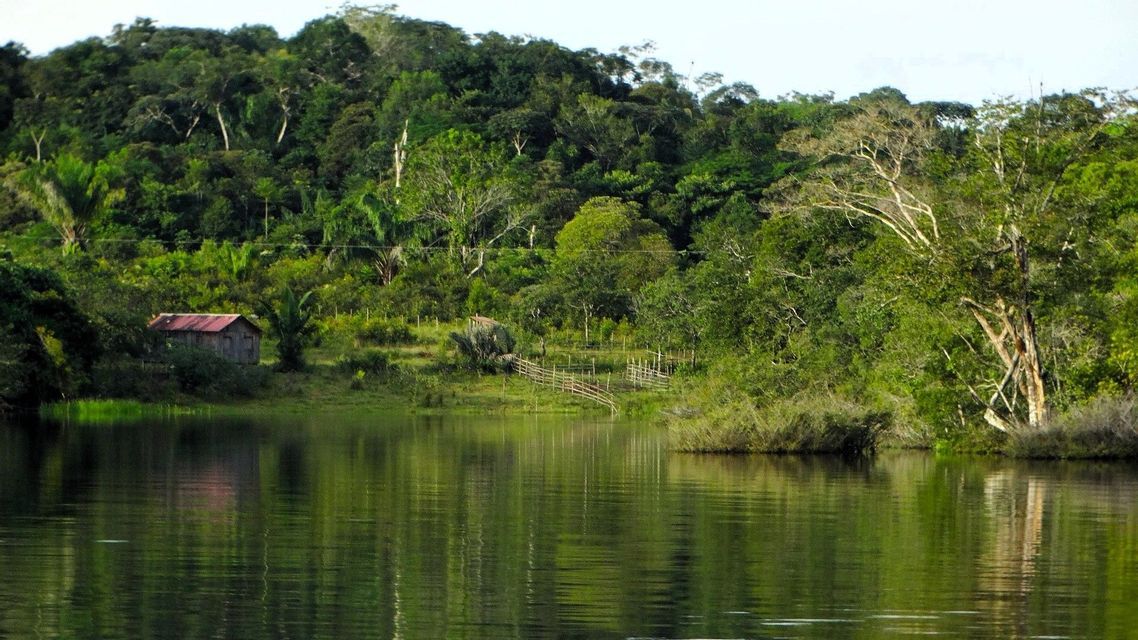 Eine kleine Hütte mit rotem Dach steht am Ufer eines ruhigen Flusses vor einem dichten grünen Wald, mit Spiegelungen im Wasser.