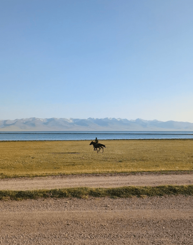 Eine Person galoppiert auf einem Pferd über ein grasbewachsenes Feld neben einem See, mit schneebedeckten Bergen in der Ferne.