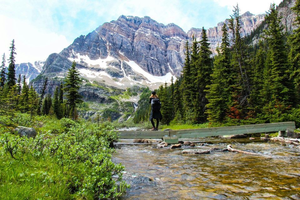 A person with a backpack stands on a wooden footbridge over a rocky stream, facing a large, snow-capped mountain and pine forest.
