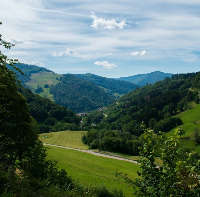 Una vista panoramica di una valle verde lussureggiante, con colline boscose e una strada che si snoda attraverso il paesaggio sotto un cielo parzialmente nuvoloso.