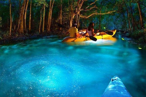 Dos personas en un kayak amarillo reman en un río de noche, con el agua brillando por bioluminiscencia azul.