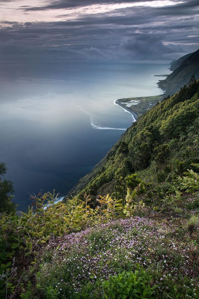 Una vista mozzafiato da una scogliera ricoperta di fiori di campo, che si affaccia su una lussureggiante costa verde che incontra l'oceano sotto un cielo nuvoloso.