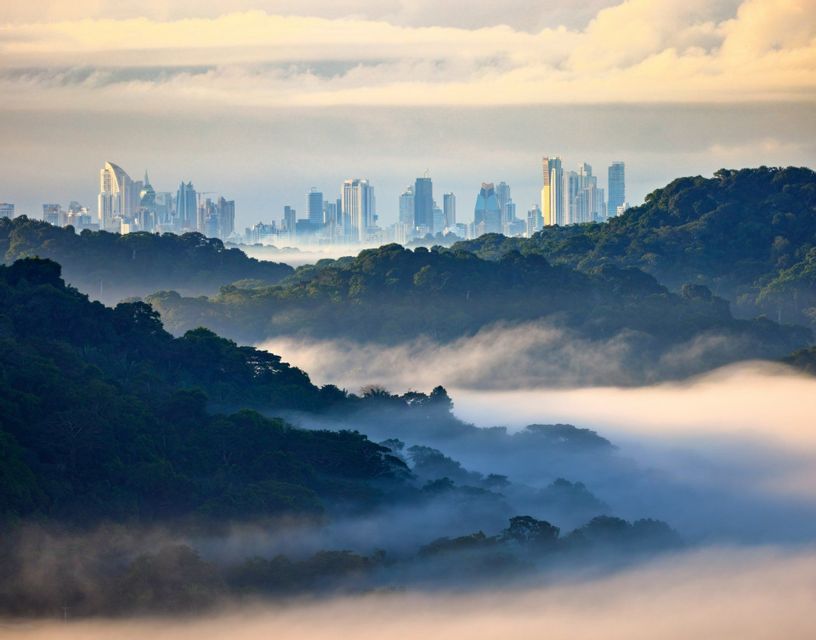 A modern city skyline rises in the distance beyond green, rolling hills partially covered by a thick blanket of fog.