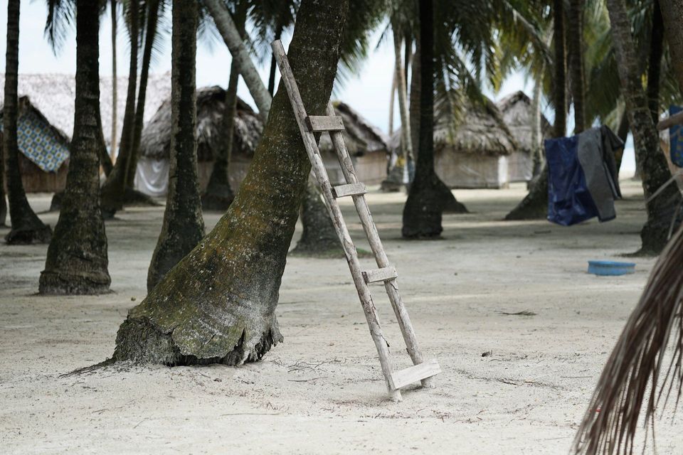 A rustic wooden ladder rests against a palm tree trunk on white sand, with a village of thatched huts in the background.
