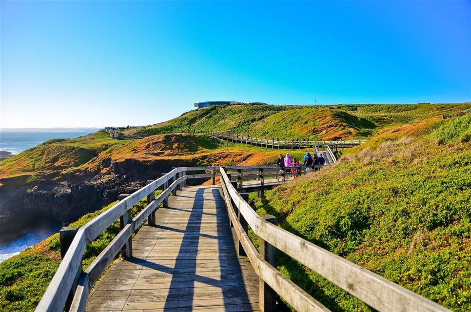 A WeRoad group trip walks along a wooden boardwalk that winds through green coastal hills under a clear blue sky.