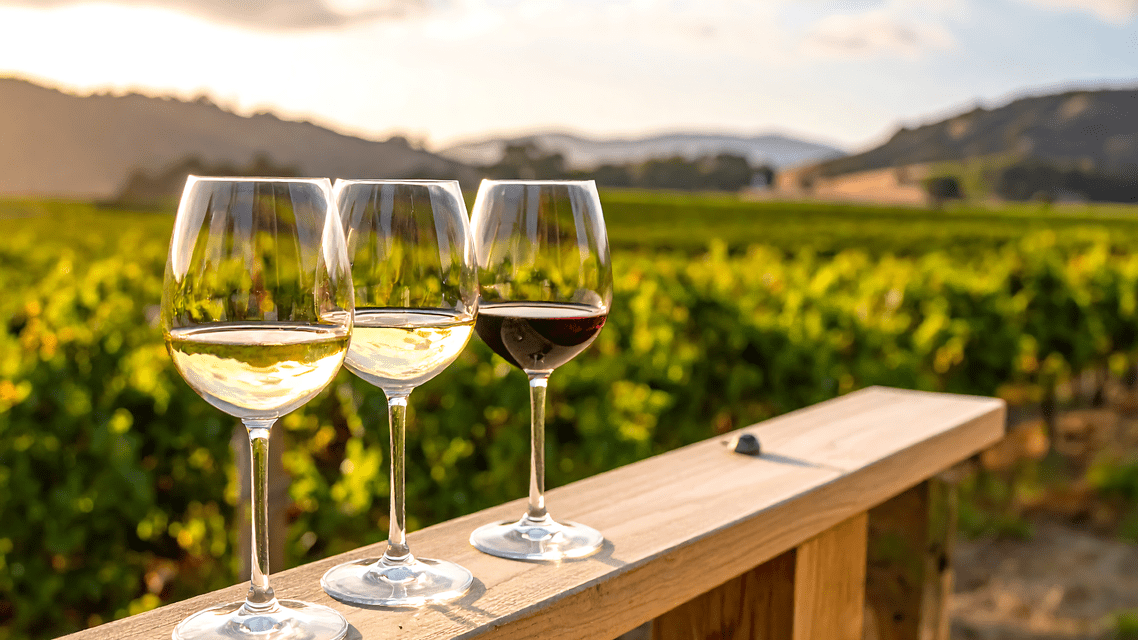 Tre bicchieri di vino bianco e rosso allineati su una ringhiera di legno che si affaccia su un vigneto baciato dal sole.