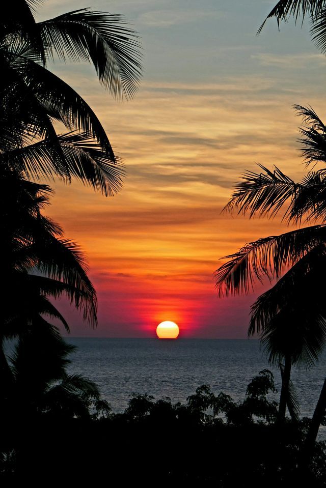 El sol se pone sobre el océano, enmarcado por las siluetas de las palmeras contra un cielo colorido de naranja y rojo.