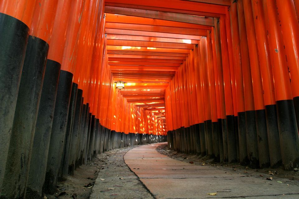 Una prospettiva dal basso di un sentiero in pietra tortuoso che si snoda attraverso un tunnel di numerosi torii arancioni e neri.