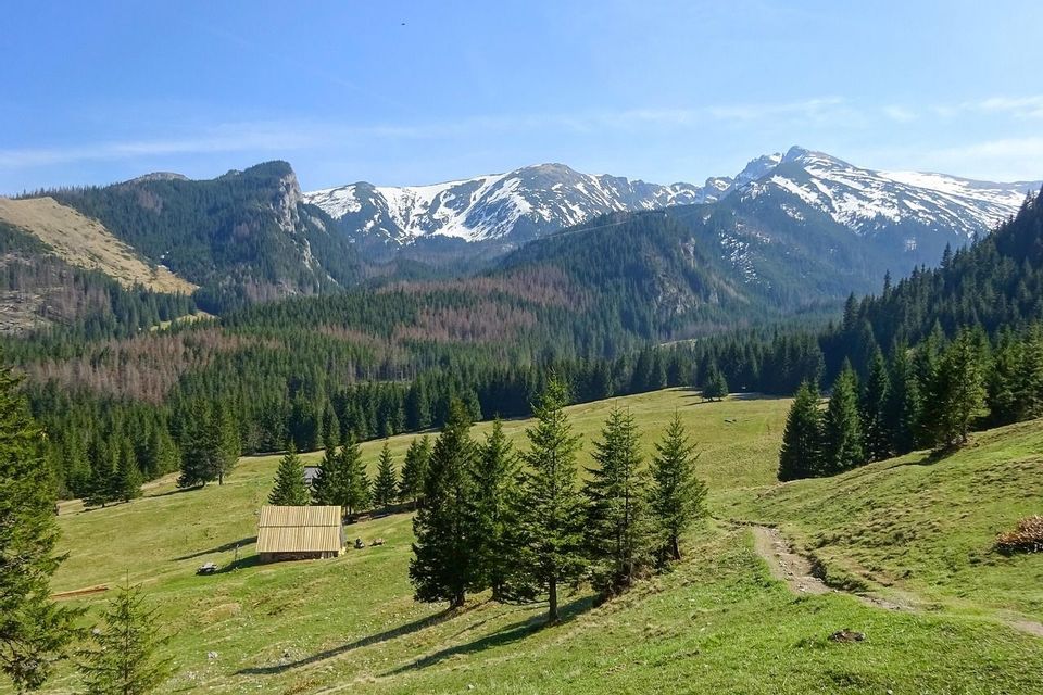 Una baita in legno si trova su un verde pendio erboso, con una vasta pineta e montagne innevate sullo sfondo.