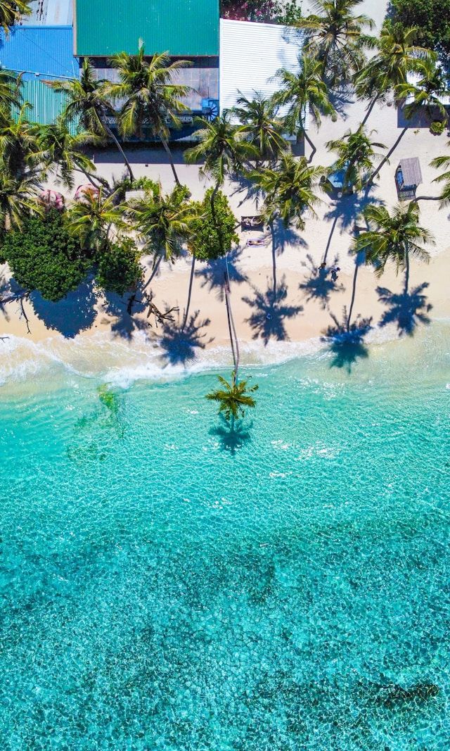 Vista aerea di una spiaggia tropicale con sabbia bianca, palme che proiettano ombre e acqua cristallina turchese lungo la riva.
