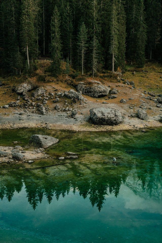 Ein dichter Kiefernwald an einem felsigen Ufer spiegelt sich perfekt im ruhigen, türkisfarbenen Wasser eines Sees.