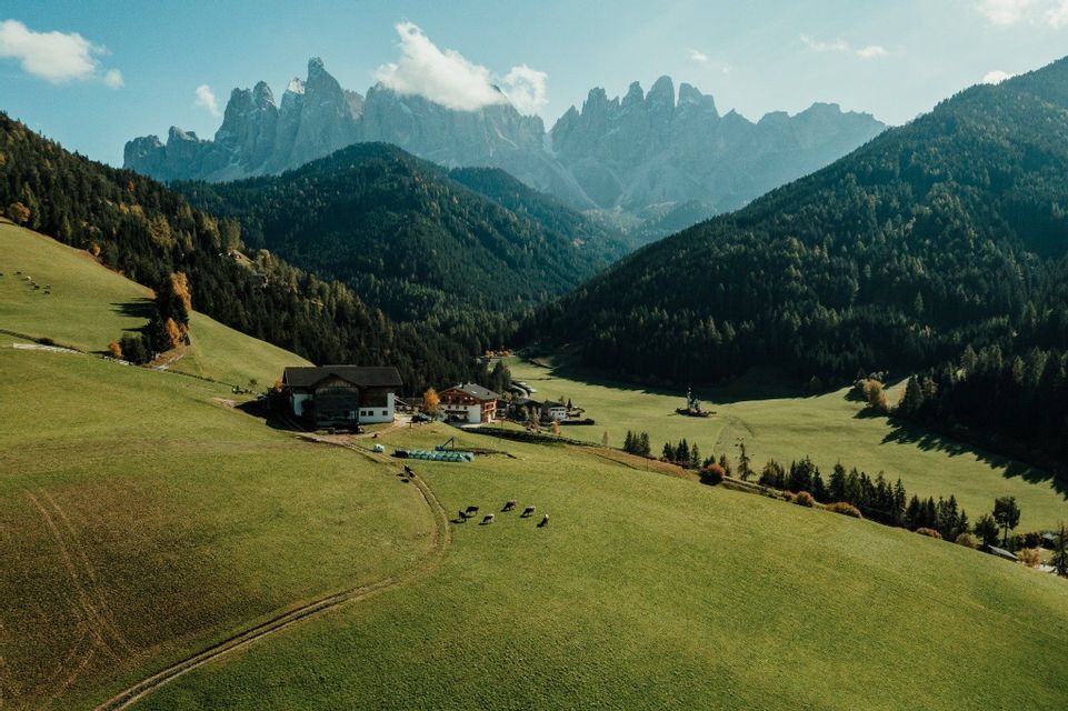 Ein kleines Dorf, in dem Kühe auf sanften, grünen Hügeln weiden, vor einer Kulisse aus bewaldeten Hängen und zerklüfteten Berggipfeln.