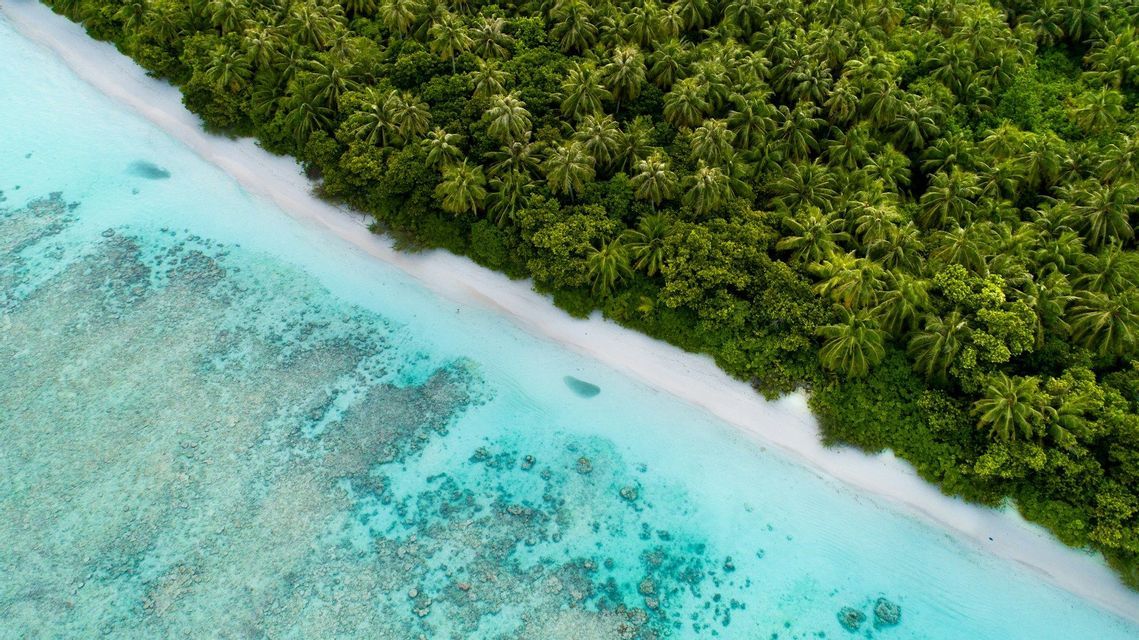 Una veduta aerea dall'alto di una costa tropicale con una spiaggia di sabbia bianca, acqua cristallina turchese e una fitta foresta di palme verdi.