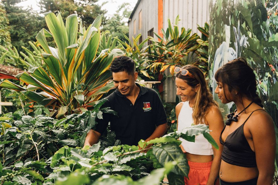 Una guida locale mostra a due donne, in un viaggio di gruppo WeRoad, le foglie delle piante di caffè in un lussureggiante giardino verde.