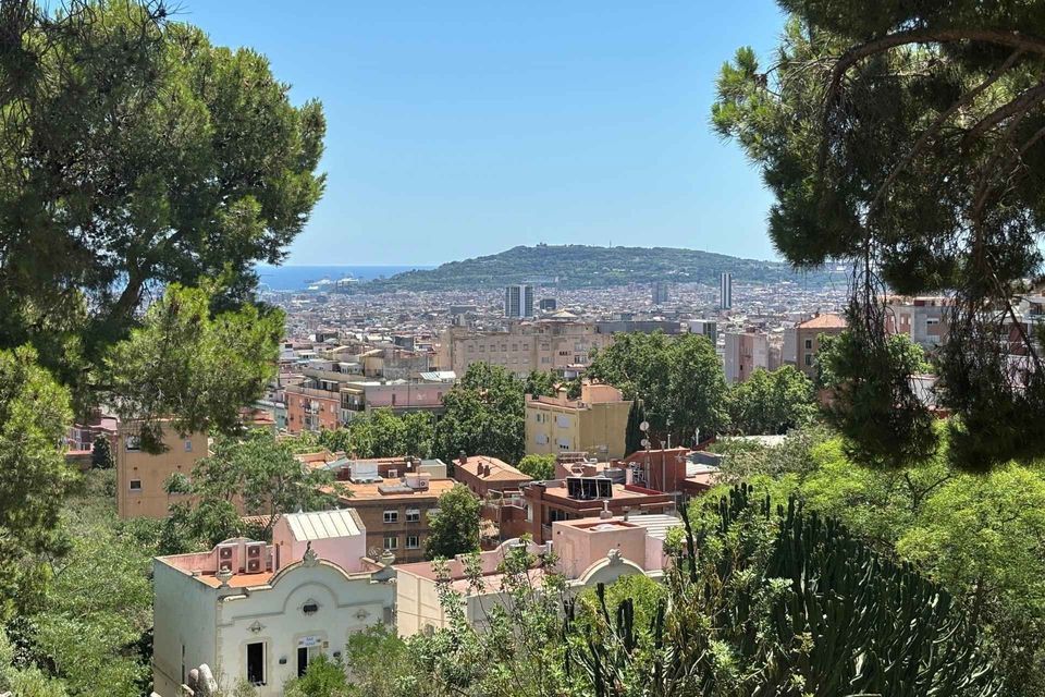 Una veduta aerea di una città costiera, incorniciata da alberi verdi e rigogliosi, con una grande collina e il mare visibili in lontananza.