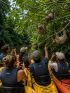 Un viaje en grupo de WeRoad en canoas observa a varios perezosos colgados de las ramas en una selva exuberante.