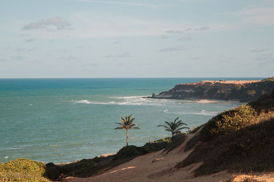 Una vista da una duna sabbiosa che mostra palme, un oceano turchese con bagnanti e una costa rocciosa a scogliera in lontananza.