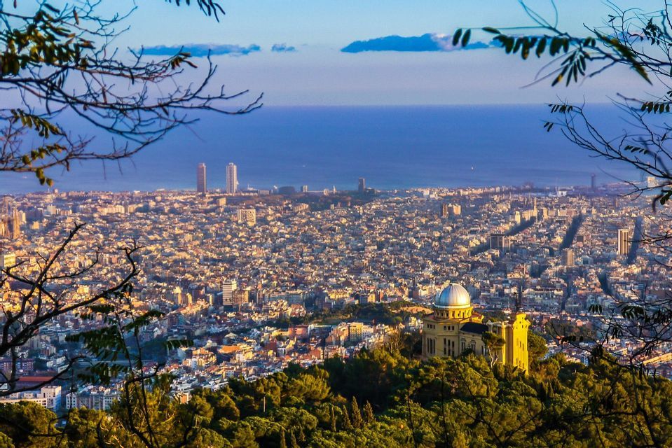 An observatory on a wooded hill overlooks a sprawling coastal city at sunrise, framed by tree branches.
