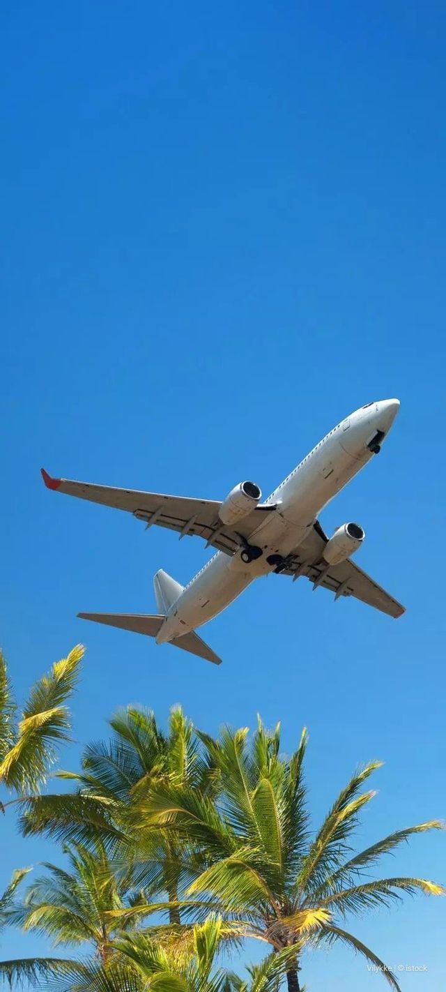 Un aereo passeggeri bianco sorvola rigogliose palme verdi sotto un cielo azzurro e limpido.