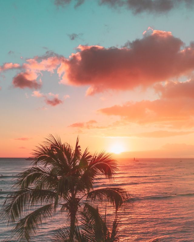 Eine Palme zeichnet sich vor einem Sonnenuntergang am Meer ab, wobei sich rosa und orangefarbene Wolken auf dem Wasser spiegeln.