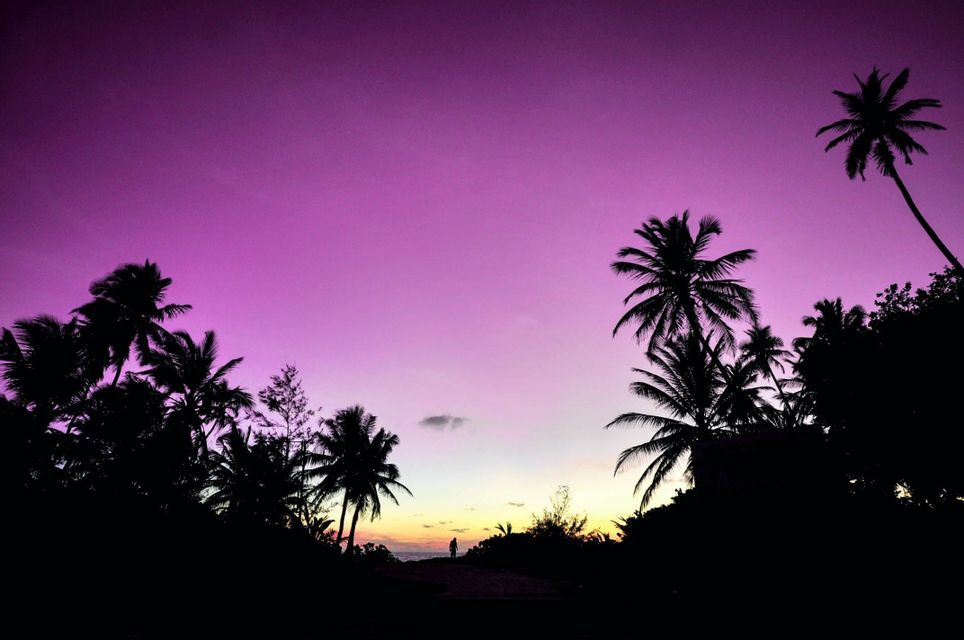 Sagome di palme incorniciano una persona sola su un sentiero sotto un tramonto viola vibrante.