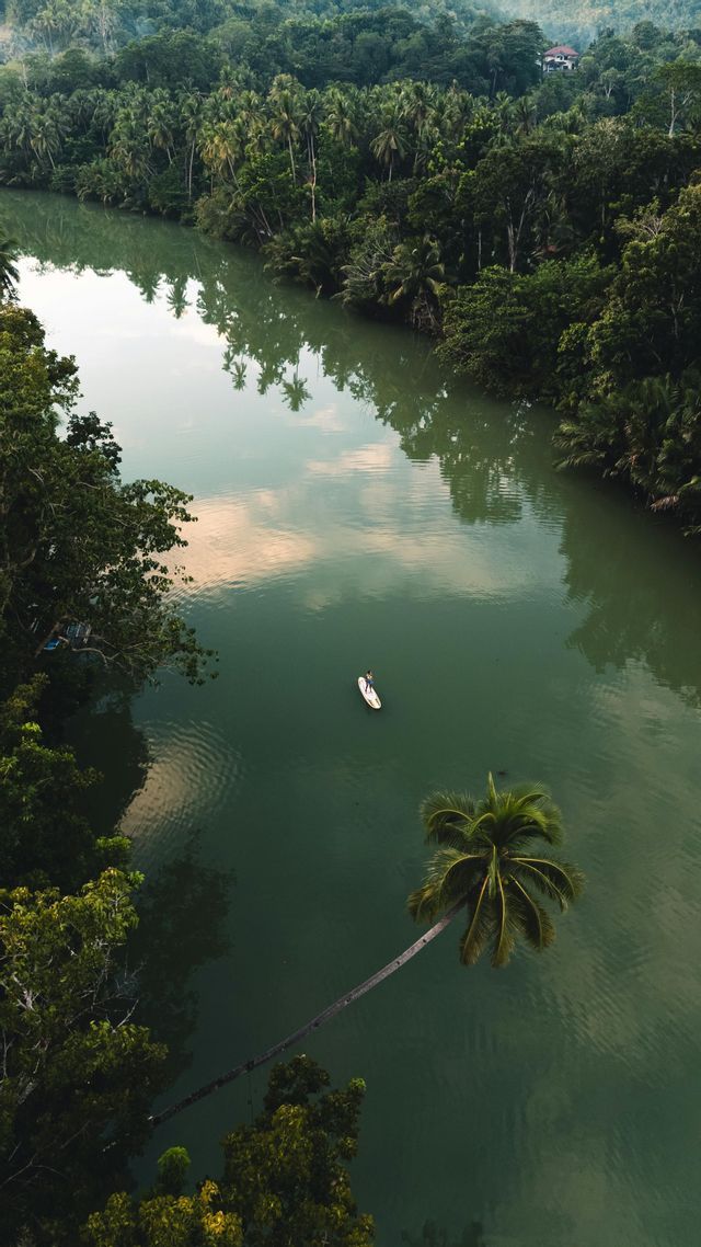 Luftaufnahme einer Person auf einem Stand-Up Paddleboard auf einem ruhigen Fluss, umgeben von dichtem Tropenwald.