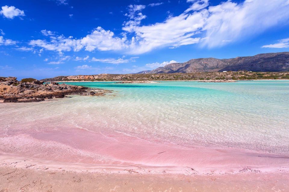 Una spiaggia di sabbia rosa incontra acque limpide e turchesi, con montagne in lontananza sotto un cielo azzurro e nuvole bianche.