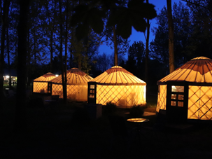 Una fila di quattro yurte illuminate dall'interno al tramonto, con uno sfondo di alberi in silhouette.