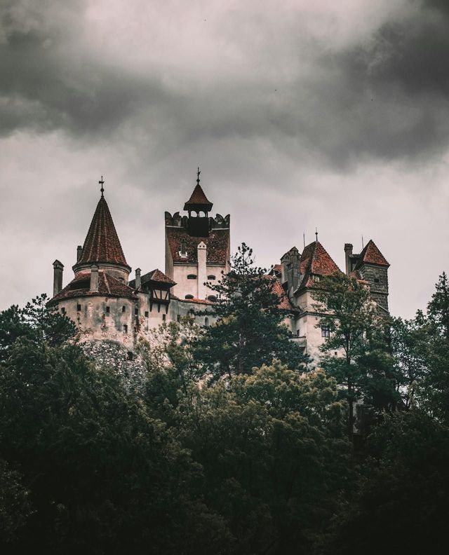 Eine mittelalterliche Burg mit roten Ziegeldächern und mehreren Türmen erhebt sich über einem dichten Wald unter einem dunklen, bewölkten Himmel.