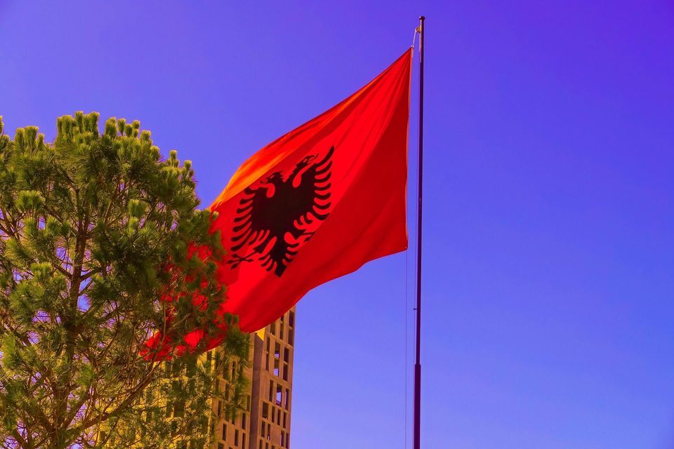 Die rote Flagge Albaniens mit einem schwarzen doppelköpfigen Adler weht an einem Fahnenmast vor klarem blauem Himmel neben einer Kiefer.