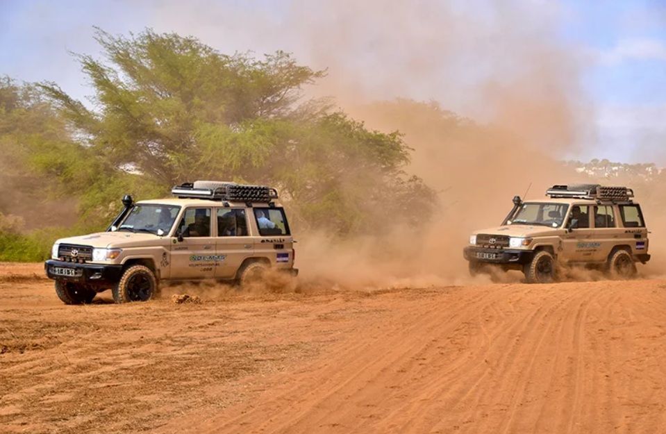 Dos jeeps de safari de un viaje en grupo de WeRoad levantan polvo mientras conducen por un camino arenoso con árboles al fondo.