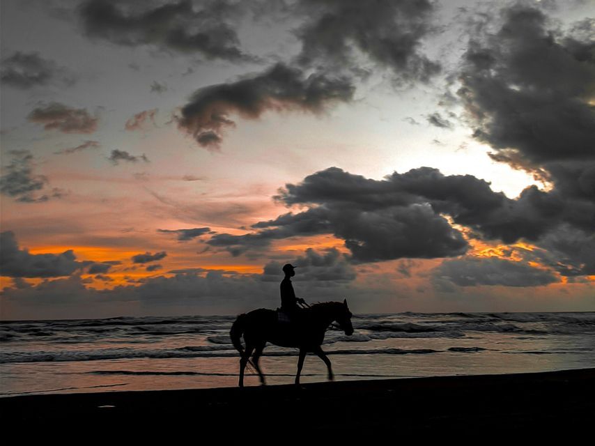 Silueta de caballo y jinete en la playa al atardecer nublado.